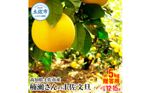 高知県土佐市産 楠瀬さんの土佐文旦 贈答用小玉 約5kg 期間限定 高知 土佐 文旦 ぶんたん ブンタン 柑橘 みかん 果物 5キロ M～Lサイズ 12～15玉 フルーツ 旬 ギフト 常温 1212190 - 高知県土佐市