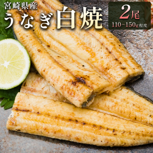 「玄人の一品」宮崎県産うなぎ白焼き 2尾(110～150g) ＆蒲焼きタレ付（50ml×1本）【A2】 121309 - 宮崎県新富町