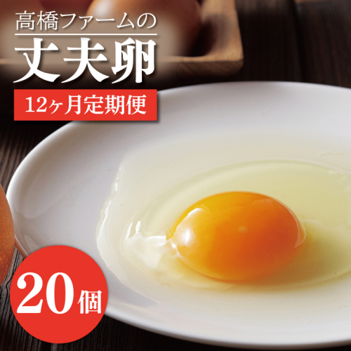 AQ010 【12ヶ月定期便】高橋ファームの丈夫卵 20個入り 1213450 - 栃木県益子町