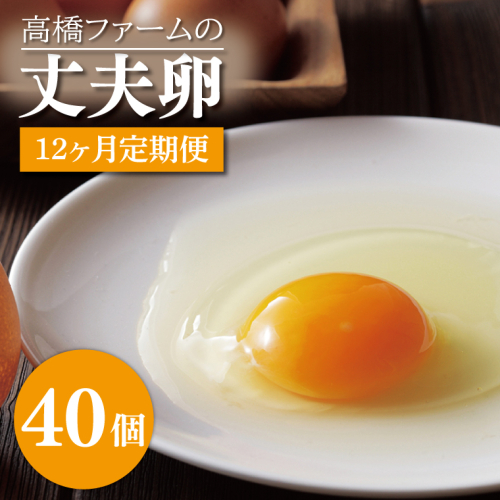 AQ016 【12ヶ月定期便】高橋ファームの丈夫卵40個入り 1213855 - 栃木県益子町