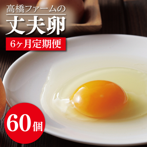 AQ018 【6ヶ月定期便】高橋ファームの丈夫卵60個入り 1213857 - 栃木県益子町