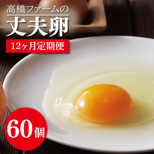 AQ019 【12ヶ月定期便】高橋ファームの丈夫卵60個入り 1213858 - 栃木県益子町