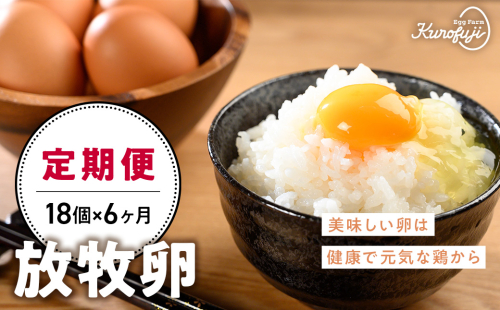 放牧卵18個×6ヶ月　人気　おすすめ　国産　贈答　ギフト　お取り寄せ　卵　たまご　タマゴ　玉子　鶏卵　自然卵　放牧卵　平飼い　新鮮　たまごかけご飯 121439 - 山梨県甲斐市
