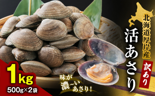 北海道 厚岸産 訳あり 活あさり 500g×2 (合計1kg) アサリ 魚貝 海鮮 大粒 美味しい 栄養 旨み 砂出し 水洗い 冷蔵 冷凍保存可能 便利 1214988 - 北海道厚岸町