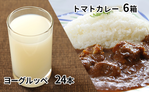 北海道日高乳業【ヨーグルッペ】&びらとりトマトカレーセット 121791 - 北海道日高町