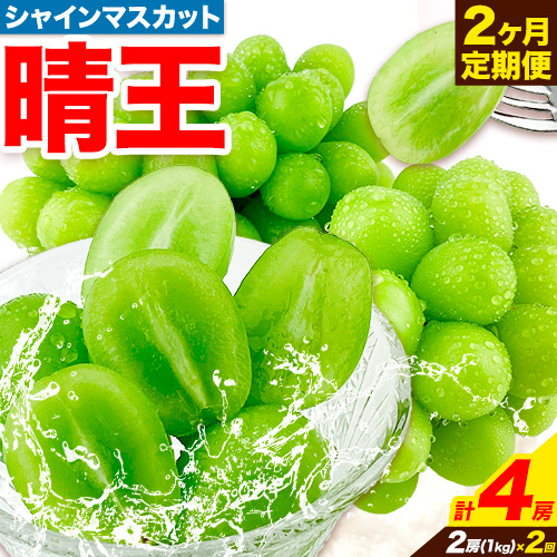 ぶどう 2ヶ月 定期便 [2025年先行予約] シャインマスカット 晴王 岡山県産 2房 約1kg《9月上旬-10月末頃出荷(土日祝除く)》 ハレノフルーツ マスカット 送料無料 岡山県 浅口市 フルーツ 果物 贈り物 ギフト 国産 岡山県産【配送不可地域あり】 1218860 - 岡山県浅口市