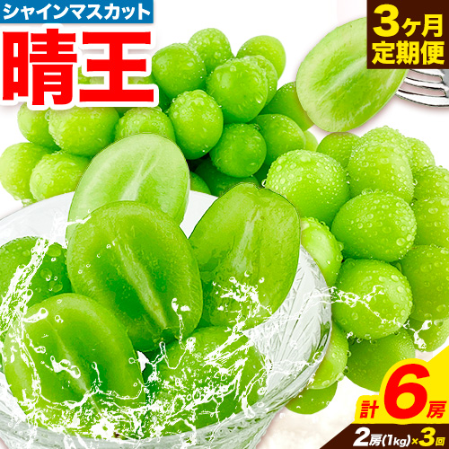 ぶどう 3ヶ月 定期便 [2025年先行予約] シャインマスカット 晴王 岡山県産 2房 約1kg《9月上旬-11月末頃出荷(土日祝除く)》 ハレノフルーツ マスカット 送料無料 岡山県 浅口市 フルーツ 果物 贈り物 国産 岡山県産 【配送不可地域あり】 1218863 - 岡山県浅口市
