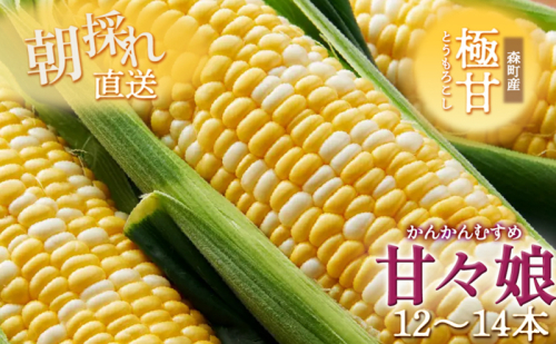 とうもろこし 先行予約 甘々娘 12～14本 幻のとうもろこし 朝どれ 甘い 野菜 夏野菜 旬 夏 高糖度 産地直送 旬の野菜 季節の野菜 新鮮野菜 おやつ コーン 先行 予約 2025 2025年 静岡 森町 冷蔵 冷蔵配送 1219047 - 静岡県森町