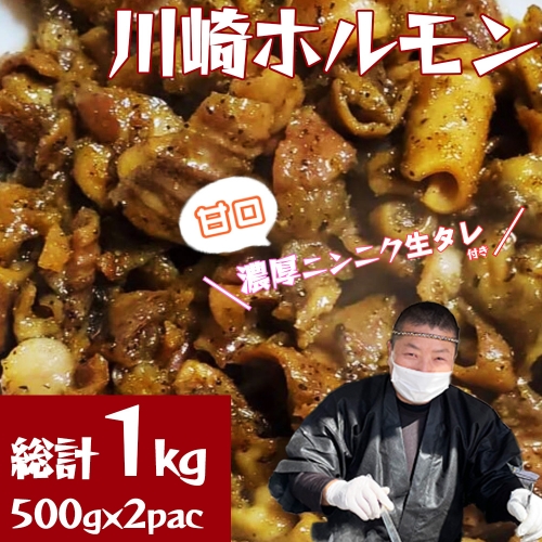 ［濃厚ニンニク生タレ『甘口付き』］川崎ホルモン総計1kg（500g×2p）　【04324-0262】 1219053 - 宮城県川崎町