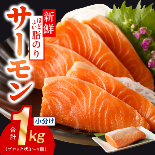 サーモン 1kg ポーション 小分け 刺身 海鮮丼 サラダ カルパッチョ 【訳あり サイズ不揃い 刺身 海鮮丼 さーもん サラダ カルパッチョ 鮭 さけ シャケ しゃけ 人気 オススメ 小分け 冷凍 家計応援】 099H2505 1221598 - 大阪府泉佐野市