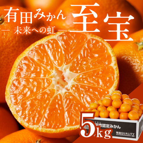 1.有田市認定みかん「未来への虹」至宝(5kg)【日本初自治体認定フルーツ】(A1-2) 122209 - 和歌山県有田市