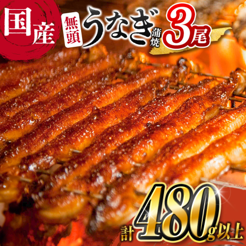 ＜高評価!!＞うなぎ 鰻楽 国産 蒲焼 3尾 人気 無頭 計480g以上 おすすめ 冷凍 簡単調理 個包装 鰻 魚介 贈答品 ギフト 贈り物【C444-60】 1222569 - 宮崎県新富町