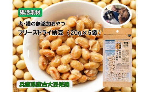 O22　腸活素材　犬・猫の無添加おやつ　フリーズドライ納豆 1222587 - 兵庫県宍粟市