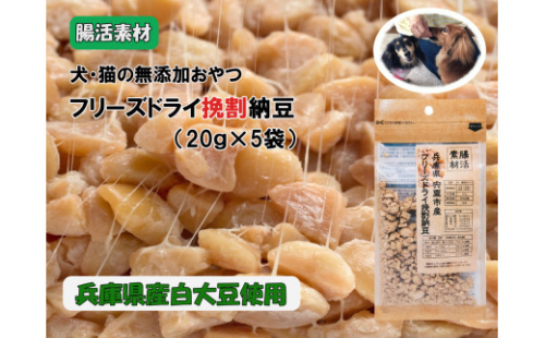 O23　腸活素材　犬・猫の無添加おやつ　フリーズドライ挽割納豆 1222639 - 兵庫県宍粟市