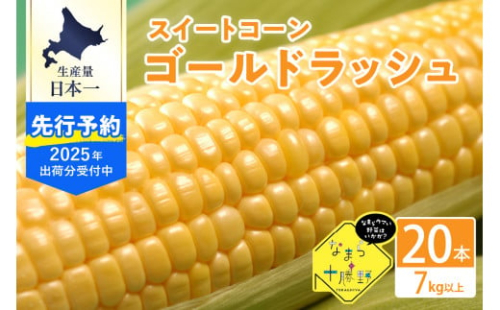 【先行受付】【2026年7月下旬～8月15日頃配送】北海道十勝芽室町 スイートコーンゴールドラッシュ20本 me001-020c-26