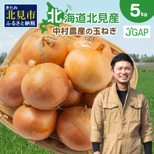 【予約：2025年9月下旬から順次発送】北海道北見産 玉ねぎ 5kg ( 玉ねぎ 野菜 たまねぎ タマネギ 玉葱 甘い ハンバーグ 肉じゃが ふるさと納税 玉ねぎ )【002-0008-2025】 1226765 - 北海道北見市