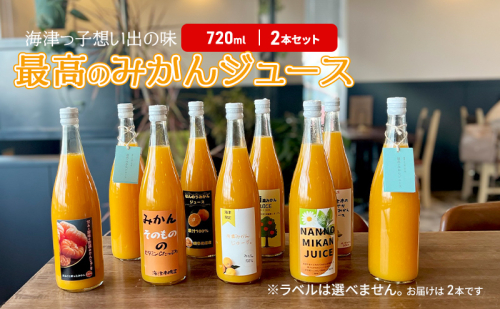海津っ子の想い出の味 最高のみかんジュース 2本セット 果汁飲料 野菜飲料 1229080 - 岐阜県海津市