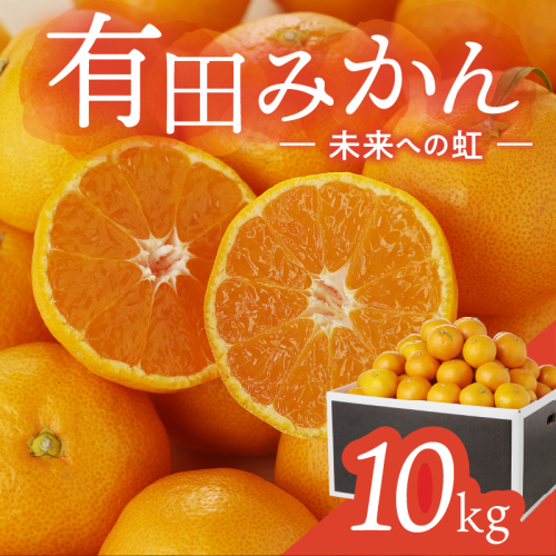 2.有田みかん「未来への虹」(10kg)(A2-2) 123093 - 和歌山県有田市