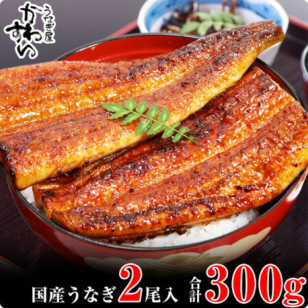 247.【うなぎ屋かわすい】国産うなぎ蒲焼き大サイズ2本セット(kw-247)(A247-1) 123094 - 和歌山県有田市