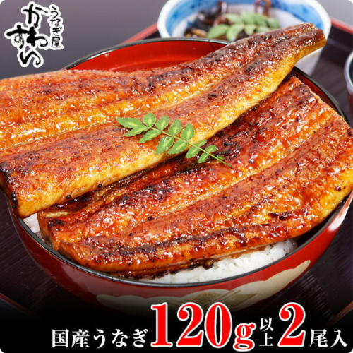 268.【うなぎ屋かわすい】国産うなぎ蒲焼2本セット(120~149g)(A268-1) 123106 - 和歌山県有田市