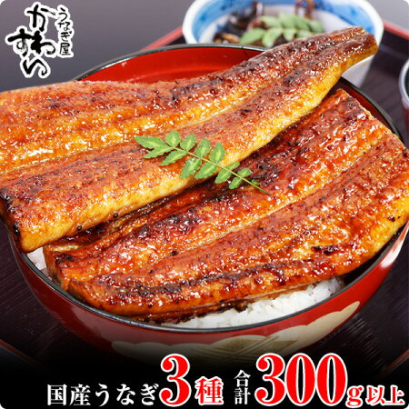 6.【うなぎ屋かわすい】国産うなぎ蒲焼3種セット(A6-1) 123107 - 和歌山県有田市