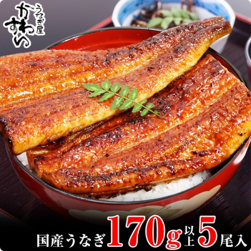 490.【うなぎ屋かわすい】特大サイズ国産うなぎ蒲焼き5本セット（合計850g）(A490-1) 123126 - 和歌山県有田市