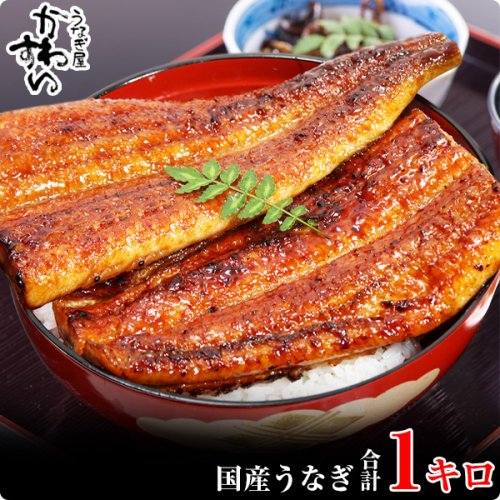 59.【うなぎ屋かわすい】国産うなぎ蒲焼きカット1kgセット(A59-2) 123130 - 和歌山県有田市