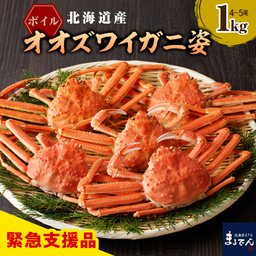 えりも【マルデン特製】ボイルオオズワイガニ姿1kg(4尾~5尾)【er002-048-a】 1231607 - 北海道えりも町