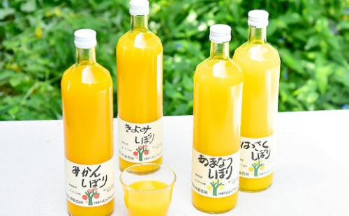 79 伊藤農園 100%ピュアジュース飲み比べ750ml×9本セット(A79-3) 123222 - 和歌山県有田市