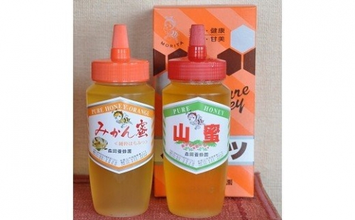 183 とんがり容器でお届け！はちみつ２種(みかん蜜、山蜜)各　500g(A183-1) 123258 - 和歌山県有田市