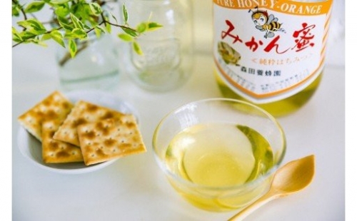 14 国産純粋はちみつ(みかん蜜) 1.2kg(A14-1) 123261 - 和歌山県有田市