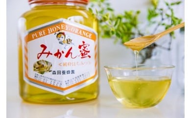 89 国産純粋はちみつ(みかん蜜) 2Kg(A89-1) 123262 - 和歌山県有田市