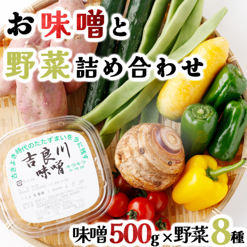 お味噌 (550g) 野菜 (8品) セット 詰め合わせ 旬 おまかせ 新鮮 やさい 味噌 みそ 吉良川みそ 調味料 高知県 室戸市 5000円 送料無料 123281 - 高知県室戸市
