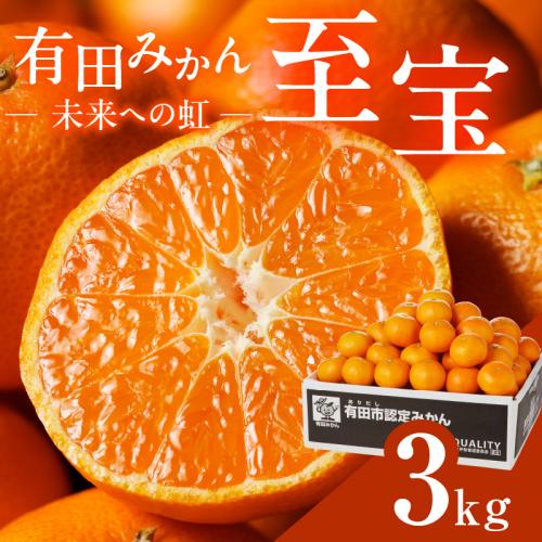 327.有田市認定みかん「未来への虹」至宝(3kg)【日本初自治体認定フルーツ】(A327-2) 123284 - 和歌山県有田市