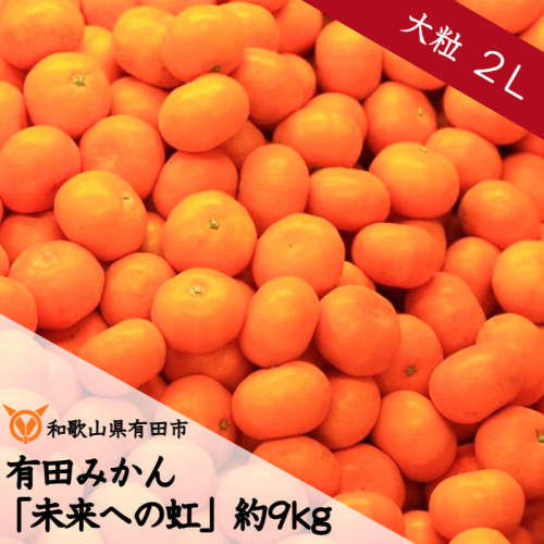 240.【大粒・2L】有田みかん「未来への虹」(約9kg)(A240-2) 123314 - 和歌山県有田市