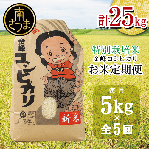 【 定期便 全3回 】＜令和7年産＞ 特別栽培米 金峰コシヒカリ 石蔵米 5kg×3ヶ月 お米定期便 定期配送 コシヒカリ 特別栽培農産物 コメ おこめ 5キロ こしひかり 米 鹿児島県産 2025年産 きんぽう木花館 南さつま市 123569 - 鹿児島県南さつま市