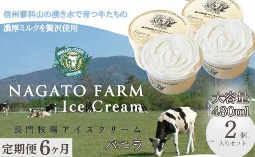 【定期便】6ヵ月連続でお届け！長門牧場アイスクリーム 480ml バニラ2個セット　アイス ギフト スイーツ デザート 人気 おすすめ 高評価 お土産 ご当地 ひんやりスイーツ  1236013 - 長野県長和町