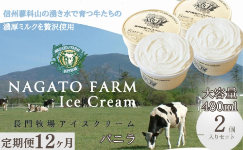 【定期便】12ヵ月連続でお届け！長門牧場アイスクリーム 480ml バニラ2個セット　ギフト スイーツ デザート 人気 おすすめ 高評価 お土産 ご当地 ひんやりスイーツ  1236014 - 長野県長和町