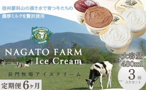 【定期便】6ヵ月連続でお届け！長門牧場アイスクリーム 480ml 3個セット バニラ チョコレート アイス ギフト スイーツ デザート 人気 おすすめ 高評価 お土産 ご当地 ひんやりスイーツ  1236016 - 長野県長和町