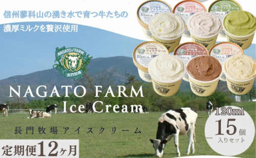 【定期便】12ヵ月連続でお届け！長門牧場アイスクリーム 15個セット バニラ チョコレート アイス ギフト スイーツ デザート 人気 おすすめ 高評価 お土産 ご当地 ひんやりスイーツ  1236020 - 長野県長和町