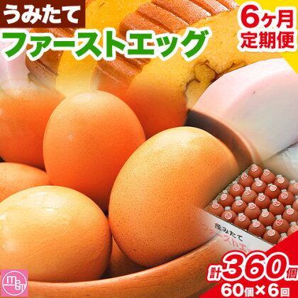 卵 たまご 6ヶ月 定期便 赤玉 ファーストエッグ 60個《お申込み月翌月から出荷予定(土日祝除く)》株式会社めぐみ 岡山県 浅口市 送料無料 30個 × 2セット 食卓 産みたて 初卵 希少 1237012 - 岡山県浅口市