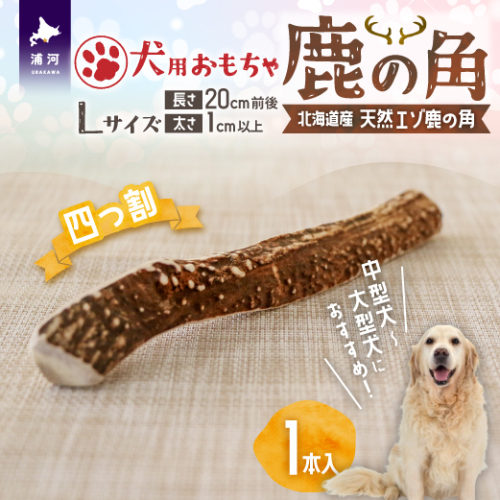 犬用「鹿の角(四つ割り)」Ｌサイズ×1本[53-1355] 1237038 - 北海道浦河町