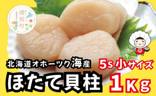 北海道 オホーツク産 冷凍 天然 ホタテ 小サイズ 1kg 帆立 ほたて 刺身 玉冷 貝柱 海鮮 魚介 国産 サロマ湖 魚介類 お刺身 1237702 - 北海道湧別町