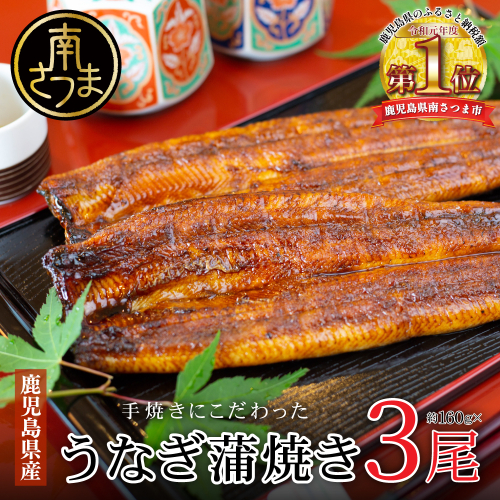 【鹿児島県産 鰻】うなぎ専門店「万のせ」 うなぎ蒲焼 3尾（手焼き）160g前後 ジューシー スタミナ ウナギ 鰻 蒲焼き 鹿児島県産 ギフト 鰻重 うな重 たれ ひつまぶし 土用丑の日 山椒 冷凍 簡単調理 贈り物 南さつま市 123838 - 鹿児島県南さつま市