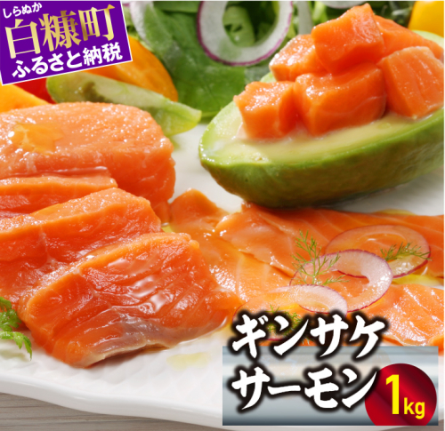※2025年7月末までにお届け※ギンサケサーモン【1kg】 1238470 - 北海道白糠町