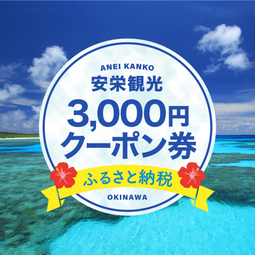 安栄観光 3,000円クーポン券 1239367 - 沖縄県竹富町