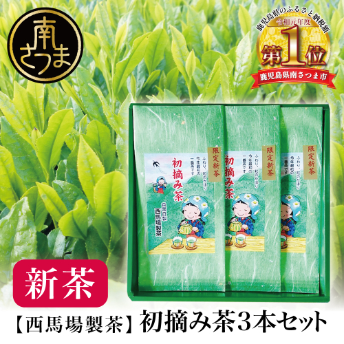 【新茶】西馬場製茶 初摘み茶3本セット ＜2025年新茶：5月出荷開始＞ ギフト 贈答 鹿児島県産 かごしま お茶 日本茶 緑茶 茶葉 南さつま市 西馬場製茶 123938 - 鹿児島県南さつま市