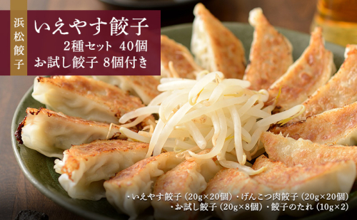 浜松餃子 いえやす餃子 2種 40個 お試し餃子 8個 セット 詰め合わせ 肉餃子 ぎょうざ 餃子 ギョーザ 冷凍餃子 冷凍ぎょうざ 冷凍 冷凍食品 中華 惣菜 食品 おかず 食べ比べ 静岡 静岡県 浜松市 【配送不可：離島】 1240164 - 静岡県浜松市
