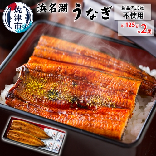 a15-609　食品添加物不使用の 浜名湖うなぎ蒲焼2尾 1240240 - 静岡県焼津市