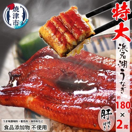 a20-411　食品添加物不使用の 浜名湖うなぎ【特大】蒲焼2尾 1240384 - 静岡県焼津市